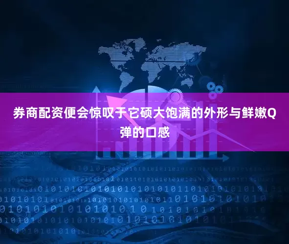 券商配资便会惊叹于它硕大饱满的外形与鲜嫩Q弹的口感